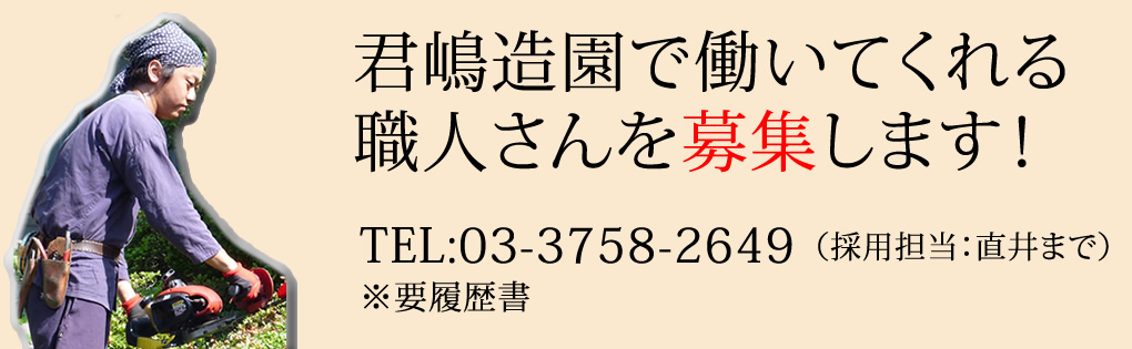 募集要項