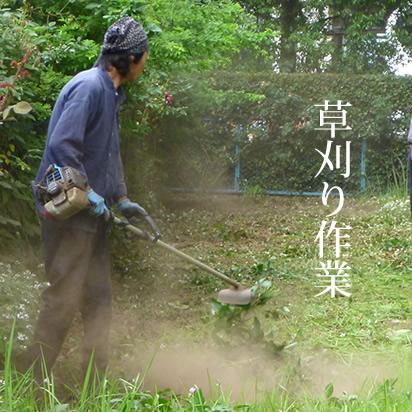 草刈り作業